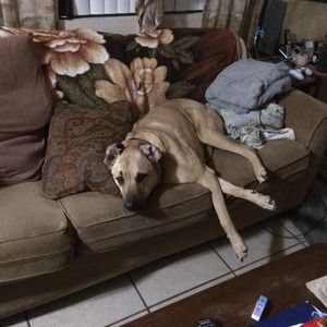 Meet your Posher, Tanya